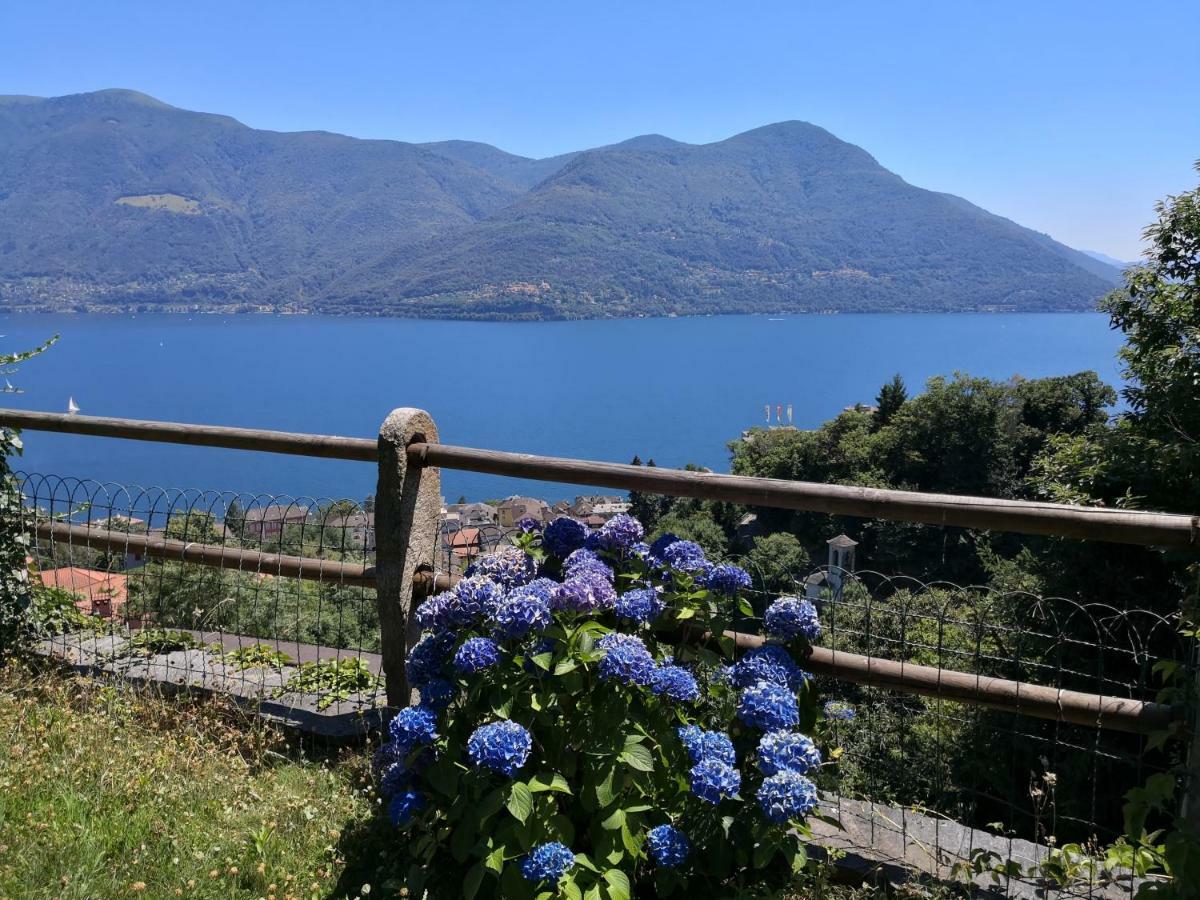 Brilago 1 Brissago Exterior foto